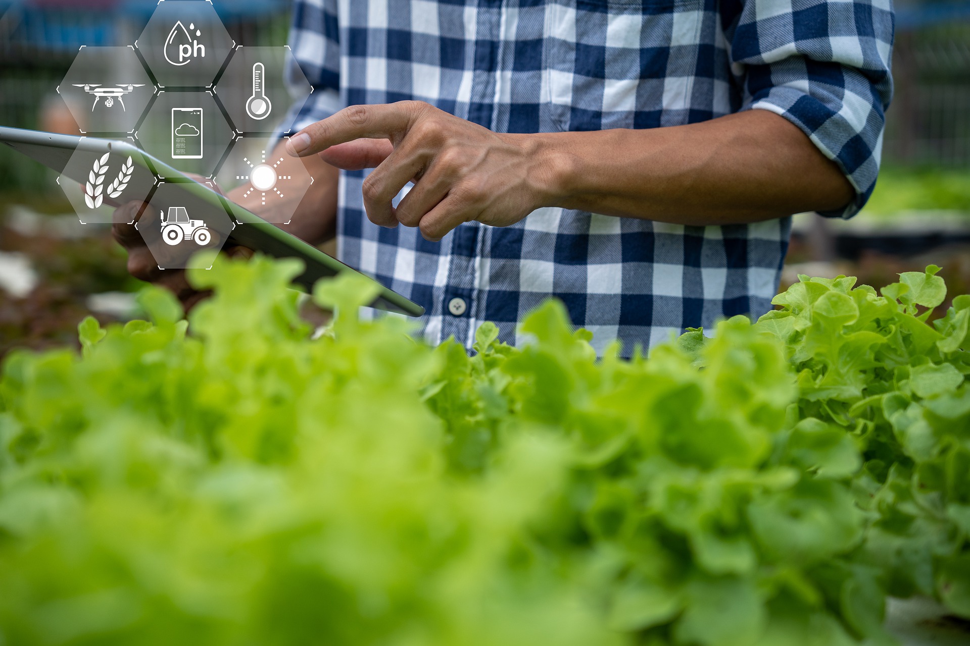 A person standing in front of crop with a AI based monitoring screen 